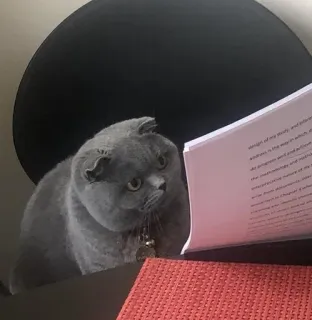 🐈 design of my study, and inform addresses the ways in which, as the methodology sent and active the mathematicals, and nature enter from documents, learning into chapter 4 under Learning into Chapter 5 kat, lezen, boek, scottish fold, educatie telegram sticker