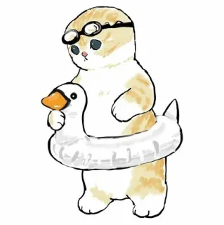 💗 kot, pływanie, słodki, dmuchane kółko kaczka, okulary do pływania, zwierzę, kreskówka, zwierzak telegram sticker