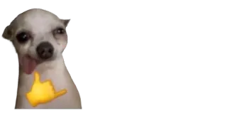 🤙 cachorro, chihuahua, meme, animal, engraçado, internet telegram sticker