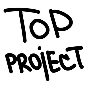 🔝 TOP PROJECT Top, Projet, Texte, Gras, Simple telegram sticker