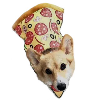 🍕 perro, corgi, pizza, comida, animal, lindo whatsapp sticker