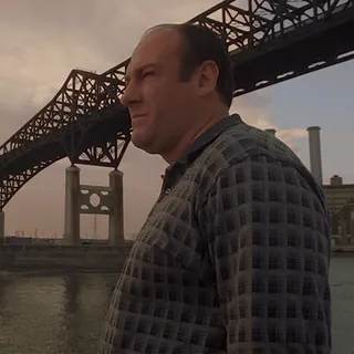 😕 Tony Soprano The Sopranos telegram sticker