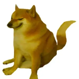 🐕 cheems doge, dog, meme, animal, pet, internet meme telegram sticker