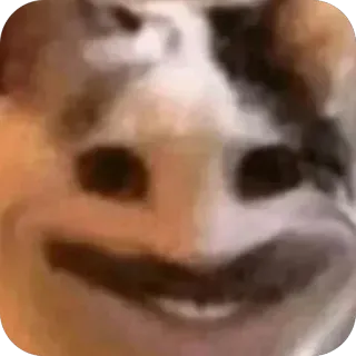 Больше стиков тут: @stikery4 whatsapp stickers