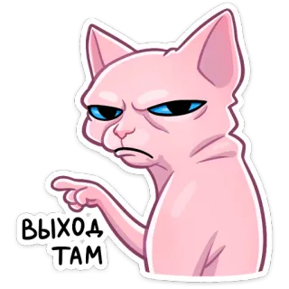 👉 ВЫХОД ТАМ кот, злой, русский, стикер, мем, указывает telegram sticker