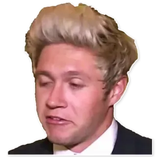 😵 Niall Horan chanteur, célébrité, personne, One Direction, mème telegram sticker