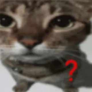 ❓ Katze, Frage, Tier, Haustier, verwirrt, neugierig whatsapp sticker