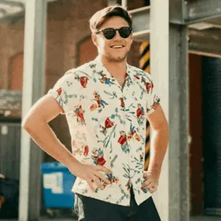 🍕 Niall Horan Niall Horan, One Direction, cantante, celebridad, música, estrella pop, irlandés telegram sticker