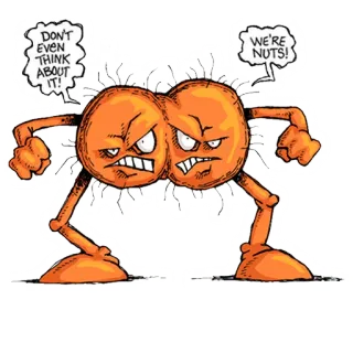 😈 DON'T EVEN THINK ABOUT IT!, WE'RE NUTS! cartoon, funny, angry, nuts, comic, character telegram sticker