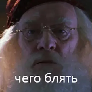 😶 Dumbledore Harry Potter чего блять 덤블도어, 해리 포터, 러시아어, 욕설 telegram sticker