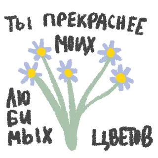 ❤ ТЫ ПРЕКРАСНЕЕ МОИХ ЛЮБИМЫХ ЦВЕТОВ fleurs, bouquet, russe, compliment telegram sticker