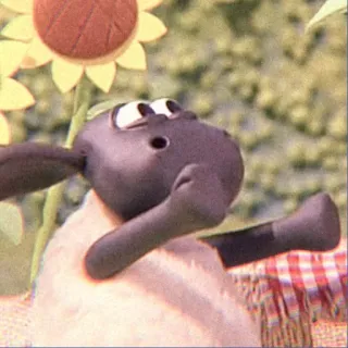 ☁️ Shaun the Sheep ひつじのショーン, アニメ, 羊, 動物 telegram sticker