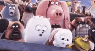 🌟 animals, cartoon, funny, shocked, pets, animated telegram sticker