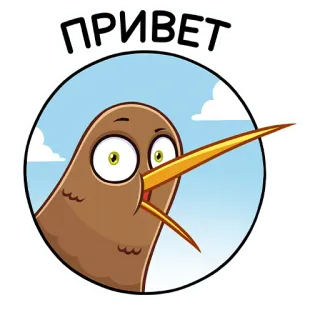 👋 ПРИВЕТ птица, киви, привет, русский, приветствие, мультфильм telegram sticker