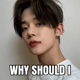 🙄 WHY SHOULD I meme, question, person, portrait telegram sticker