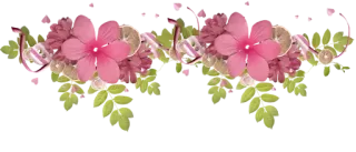 💀 flowers, floral, pink, leaves whatsapp sticker