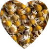 💛
