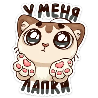 🐾 У МЕНЯ ЛАПКИ gato, lindo, animal, gatito, dibujo, ruso telegram sticker