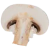 🍄
