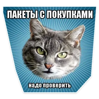 😂 ПАКЕТЫ С ПОКУПКАМИ
надо проверить gato, compras, paquetes, verificar, ruso, mascota, animal telegram sticker