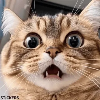😟 STICKERS telegram sticker