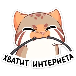 😡 ХВАТИТ ИНТЕРНЕТА chat, internet, animal, drôle, mignon, mème telegram sticker