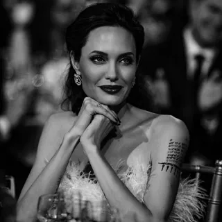 🗽 Angelina Jolie attrice, celebrità, ritratto, bianco e nero, donna telegram sticker