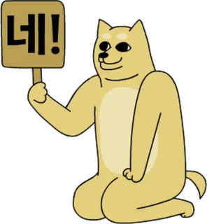 💬 Doge 네! doge, meme, cane, coreano, sì whatsapp sticker