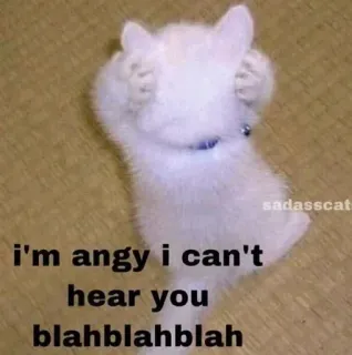 😡 i'm angy i can't hear you blahblahblah mèo, tức giận, meme, hài hước, mèo con, dễ thương, bực bội telegram sticker