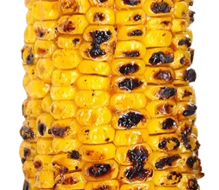 ⚪️ nourriture, maïs, maïs grillé, légume, été, barbecue, repas whatsapp sticker