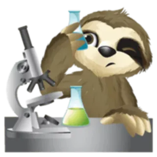 🔬 bicho-preguiça, cientista, microscópio, béquer, química, animal, desenho animado whatsapp sticker