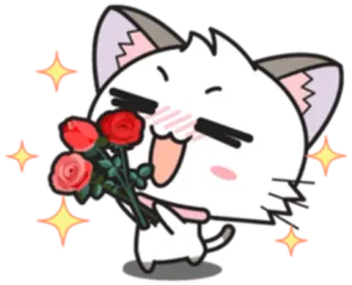 💐 cat, flowers, roses, cute, adorable, sparkle, anime whatsapp sticker