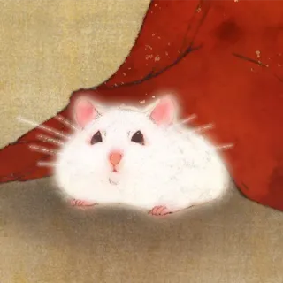 🐹 hamster, animal, rodent, cute, white, pet telegram sticker