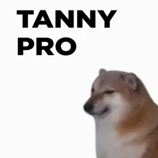 🎭 TANNY PRO 도지, 개, 밈, Tanny, 프로 telegram sticker