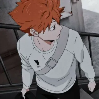 ❤️ Hinata Shoyo Haikyuu!! アニメ, ハイキュー!!, 日向翔陽, キャラクター, マンガ, 少年 telegram sticker