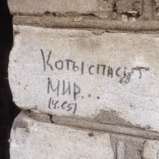 👨‍🎨 Коты спасут мир... gatos, paz, grafiti, ruso telegram sticker