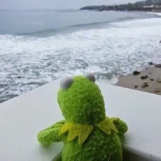 🌊 Kermit 科米蛙, 布偶, 海滩, 海洋, 沉思, 绿色, 青蛙, 玩偶 telegram sticker