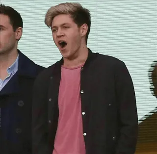 🥀 Niall Horan cantante, Niall Horan, One Direction, celebridad, bostezo telegram sticker