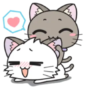 💕 gato, amor, fofo, animal, gatinho, coração, animal de estimação whatsapp sticker