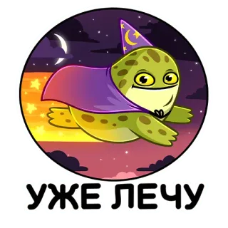 🏃‍♂️ УЖЕ ЛЕЧУ turtle, wizard, flying, stars, night, cartoon telegram sticker