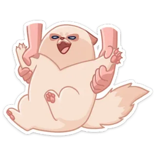 😡 gato, animal, engraçado, meme, adesivo, animal de estimação, fofo, mãos telegram sticker