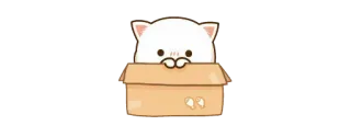 🤭 猫, 箱, 可愛い, 動物, 子猫 telegram sticker