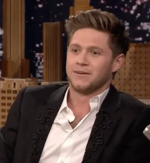 🎸 Niall Horan niall horan, cantor, celebridade, one direction telegram sticker