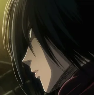 ❤️ Mikasa Ackerman Attack on Titan อนิเมะ, มิคาสะ, ผ่าพิภพไททัน, ตัวละคร, ผู้หญิง, AOT whatsapp sticker
