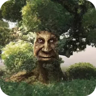 🗿 tree, face, nature, environment, forest, plants telegram sticker