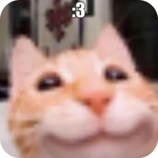 🥲 :3 猫, 可愛い, 絵文字, 動物 telegram sticker