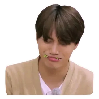 🥬 Persona, Comiendo, Retrato, Hombre, Casual, Interior, Sonrisa, Kpop whatsapp sticker