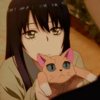 👻 anime, gatto, ragazza, cartone animato telegram sticker
