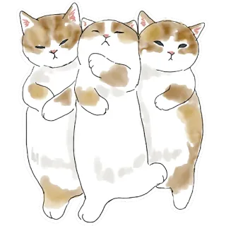 😴 猫, 可愛い, 動物, かわいい, ペット, 子猫, 友達 telegram sticker