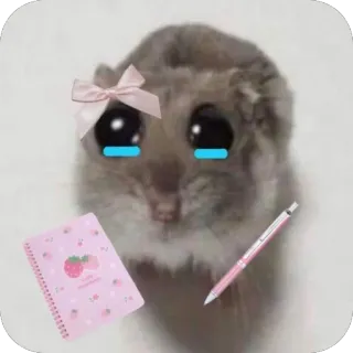 🫥 hamster, cute, animal, notebook, pen, kawaii telegram sticker